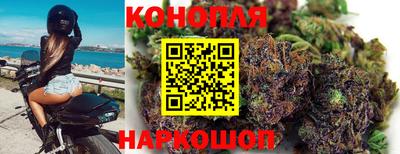 дмт Малгобек