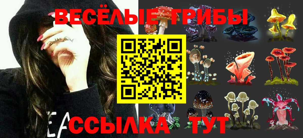 Хабаровск  Галлюциногенные грибы MAGIC MUSHROOMS  Вход с VPN 